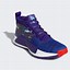 Image result for Dame 5 Shoes Violet