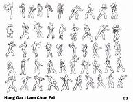 Image result for Guy Doing Kung Fu