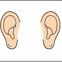 Image result for 2 Ears Clip Art