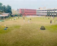 Image result for Cricket Academy Near Me
