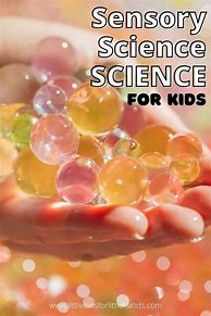 Image result for Science and Sensory for Preschool
