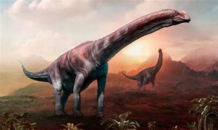 Image result for Largest Dinosaur Ever