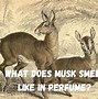 Image result for Synthetic Musk