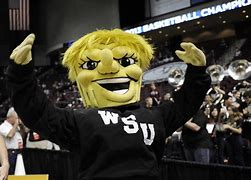 Image result for Funny College Mascots