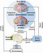 Image result for Infographic Illustrating Cognitive Processing as the Computer Analogy