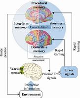 Image result for Human Cognitive System