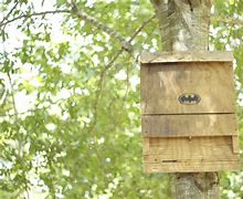 Image result for Do It Yourself Bat Repellent
