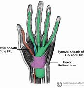 Image result for Sheaths for Fingers