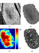 Image result for Forensic Fingerprint Analysis