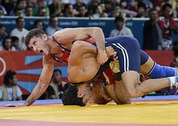 Image result for Put Pro Wrestling in the Olympics