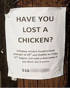 Image result for Funny Lost and Found