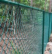 Image result for Vines On Chain Link Fence