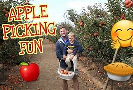 Image result for Apple-Picking Fun