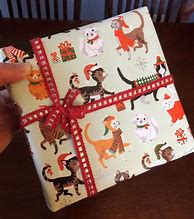 Image result for Best Cat Lover Gift