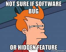 Image result for Software Bug Meme