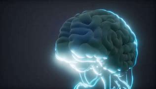 Image result for Animated Brain