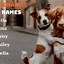 Image result for Popular Dog Names