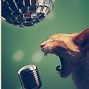 Image result for Singing Animals Meme