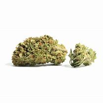 Image result for Florida Kush Strain