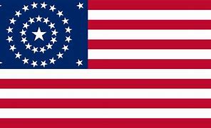 Image result for American Flag in Opposite Colors