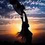 Image result for Female Silhouette Photography