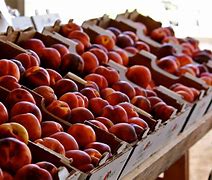 Image result for Light Peach and Green Packaging