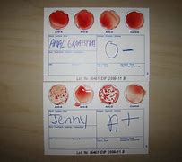 Image result for Blood Type Test Card