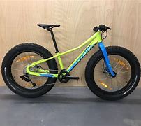 Image result for 24 Inch Fat Bike