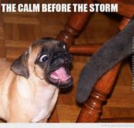 Image result for Calm Before the Storm Meme