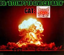 Image result for Alien Cat Meme