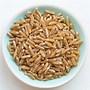 Image result for Examples of Grains