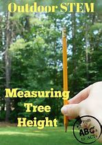 Image result for Measuring Tree Height