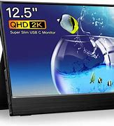 Image result for Portable LCD Screen