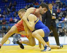 Image result for Weight Classes for Wrestling