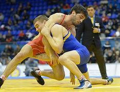 Image result for Weight Classes for Wrestling