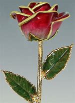 Image result for Living Gold Rose