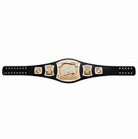 Image result for WWE John Cena PFP Spinner Belt