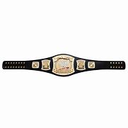 Image result for WWE John Cena Belt