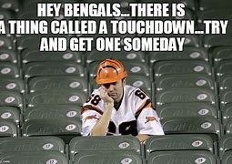 Image result for Cincinnati Bengals Funny