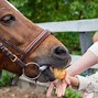 Image result for The Apple Eating Android