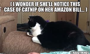 Image result for Amazon Cat Meme