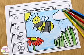 Image result for Woylie Directed Drawing