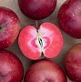 Image result for The Best Red Flesh Apple