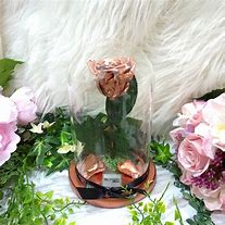 Image result for Gold Dipped Rose in Glass Dome