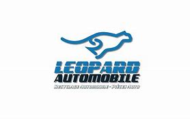 Image result for leopard_automobile_ab