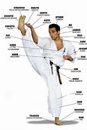Image result for Kyokushin Karate Stance