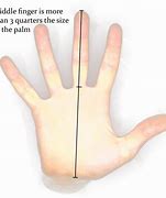 Image result for How Long Is a Thumbtack Centimeter