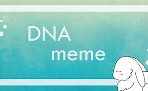 Image result for Memes ADN