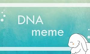 Image result for Meme Re DNA