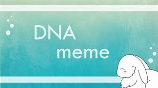 Image result for DNA/RNA Meme